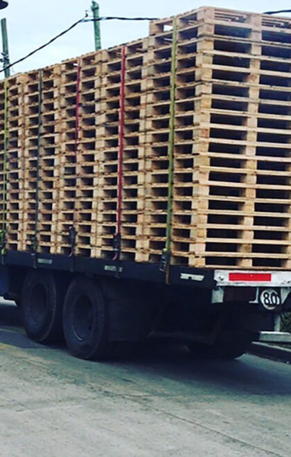 logistica-palelog-1-gallery